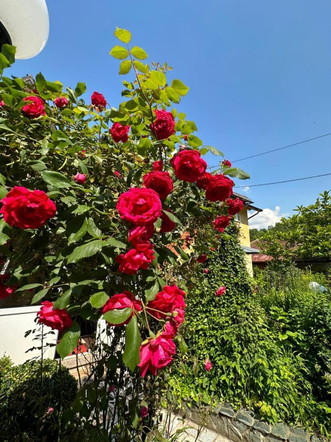 Beautiful House Overlooking ซาราเยโว ภายนอก รูปภาพ